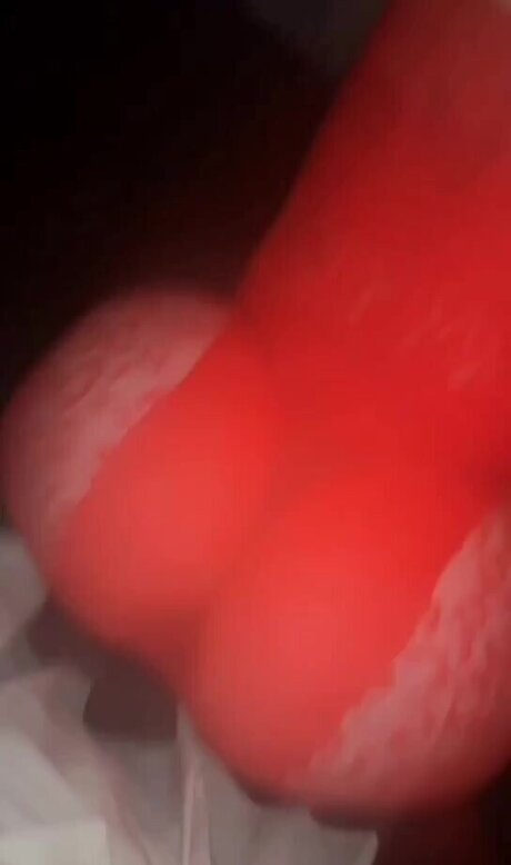 Katieexo134