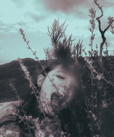 Katiielady