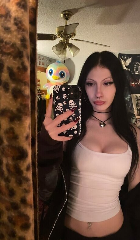 Cynniiexo