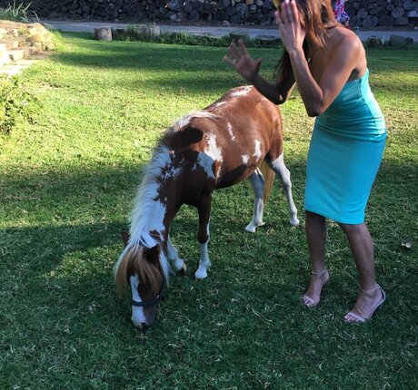 Dianna Russini