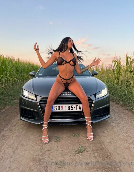 Tamara Bojanic