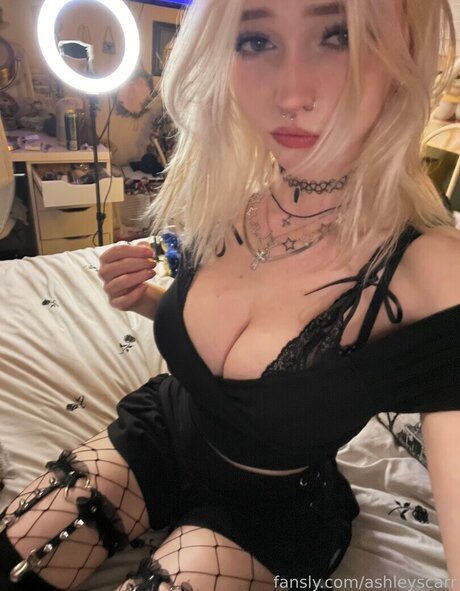 M.vlntn__