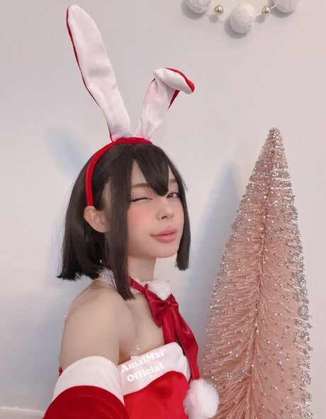 Amaimaiofficial