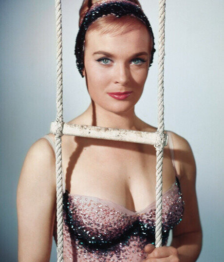 Vintage Sexy Celebs