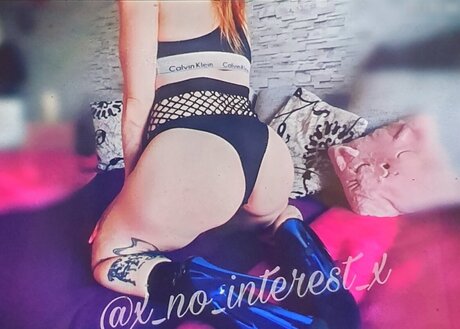 X_no_interest_x