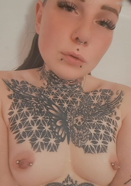 Xnointerestx