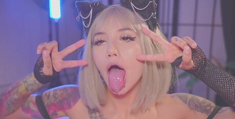 Kittymolly_