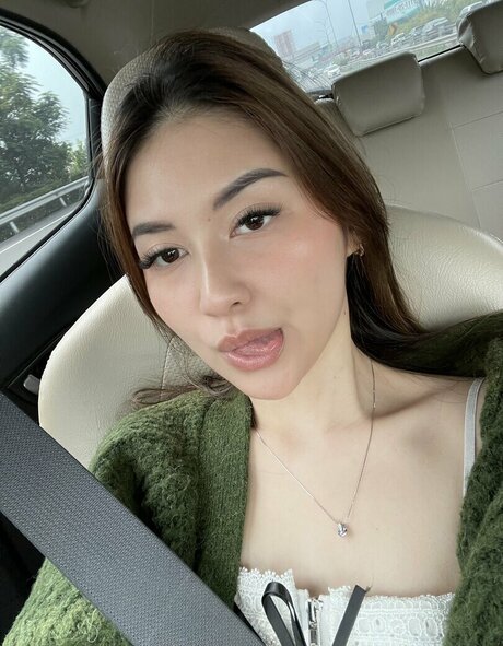 Swansage