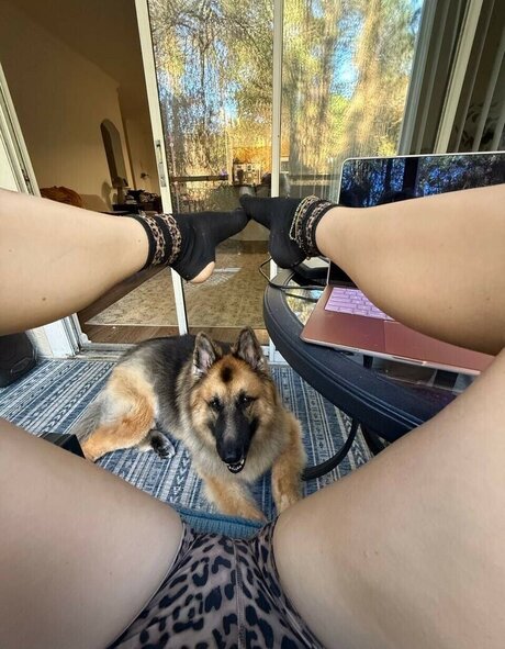 Katycarnegie