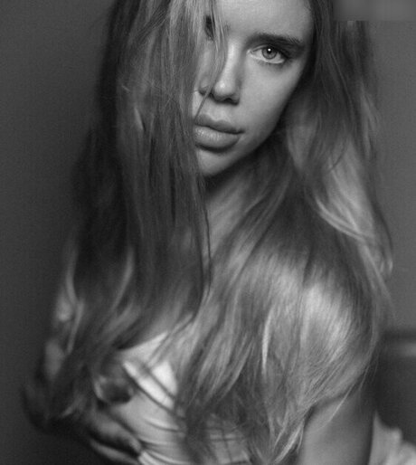 Hollaura