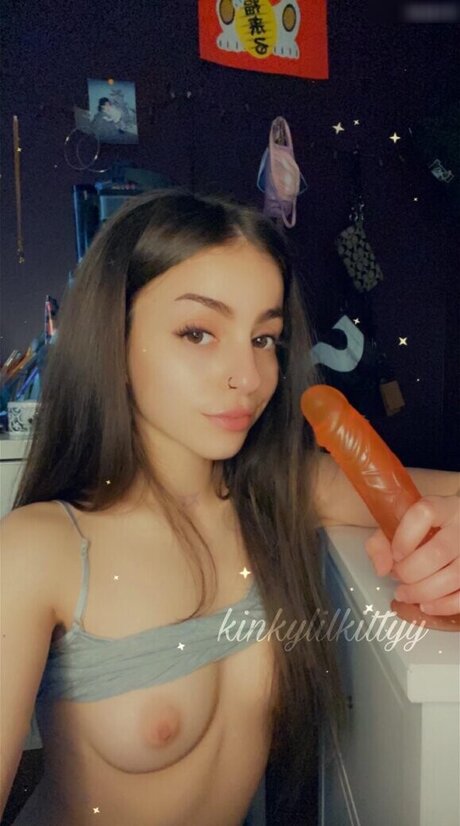 Kinkylilkitty