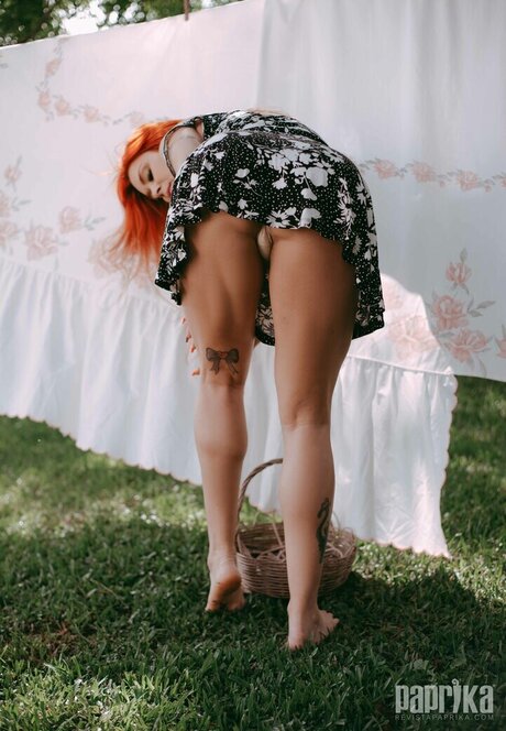 Rossane Bom