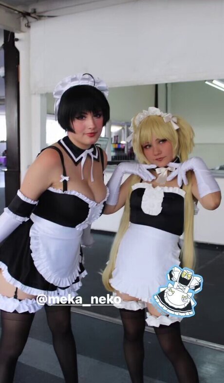 Meka Neko