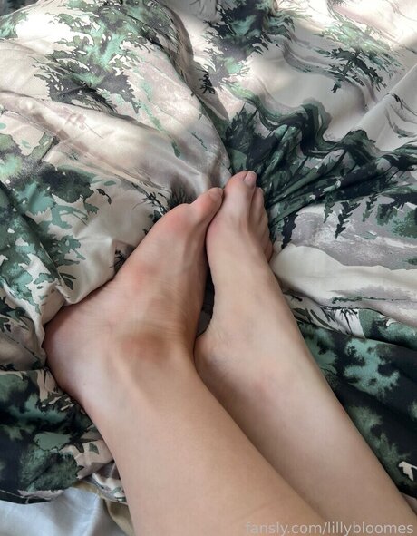 Msfiiire