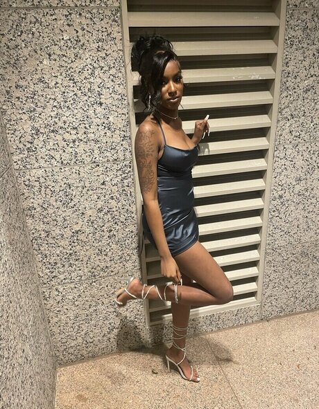 Lauryntierre