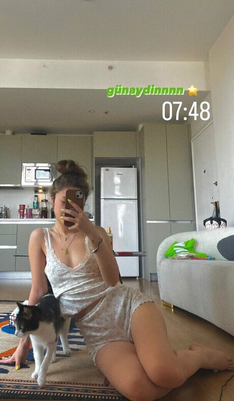 Zeybik