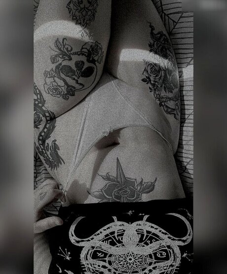 Xlenaa_official