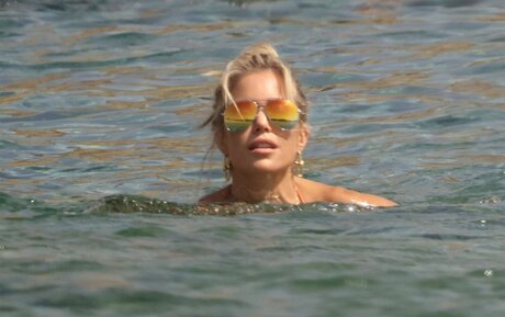 Sylvie Meis