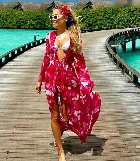 Sylvie Meis