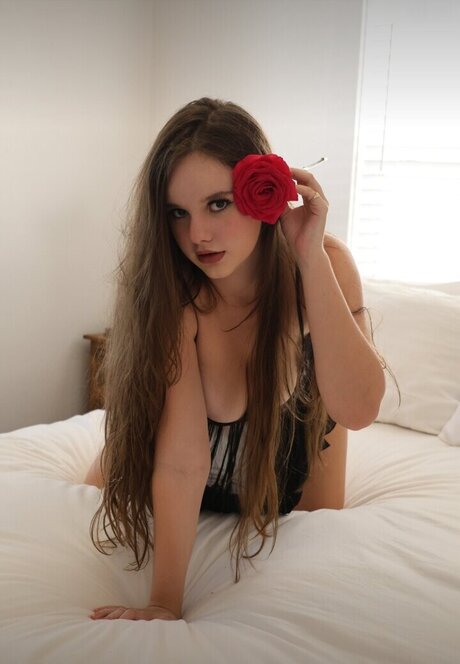 Isabella 110022