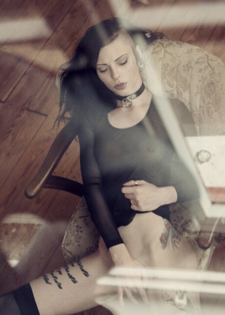 VipersDoll