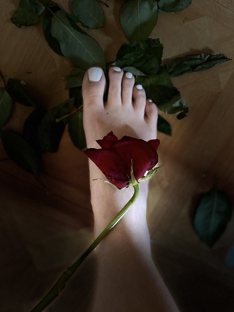 Nacktes geleaktes OnlyFans-Foto von Lolly Toes