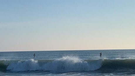 Naked On The Board
