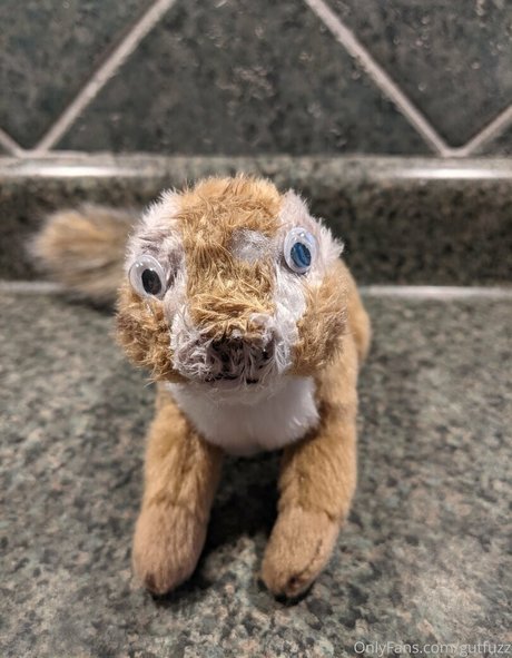 Gutfuzz