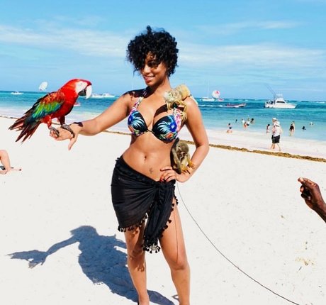Taylor Rooks