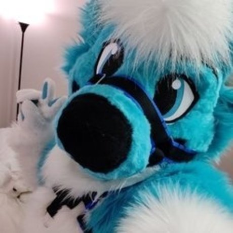 Nacktes geleaktes OnlyFans-Foto von Fizzy Potato Husky