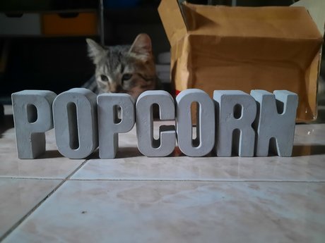 Nacktes geleaktes OnlyFans-Foto von Popcorn 