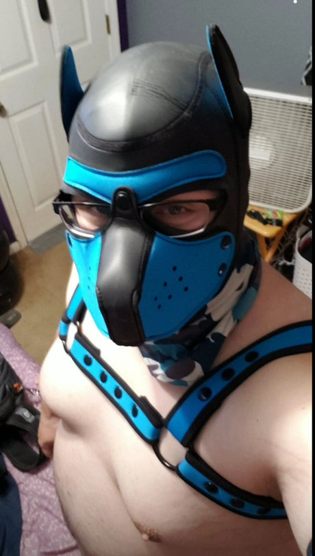 Nacktes geleaktes OnlyFans-Foto von Pup Havoc