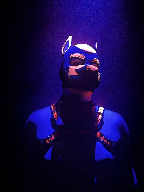 Nacktes geleaktes OnlyFans-Foto von Quentin The Pup