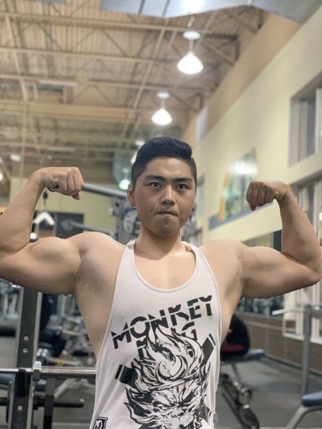 Pt Is Fun
