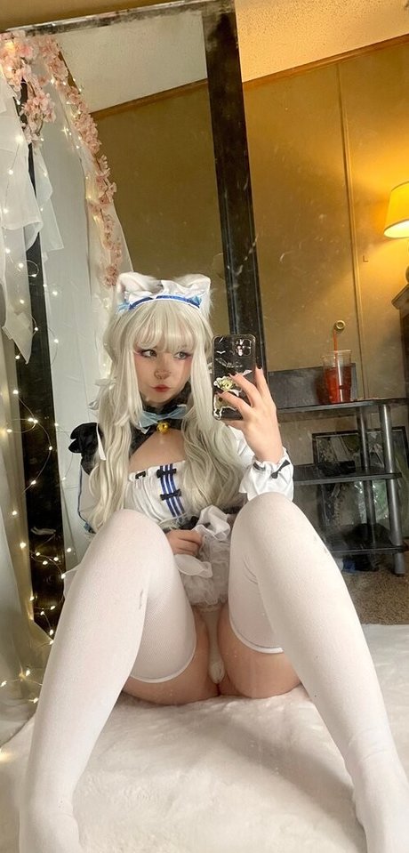 Pockycats