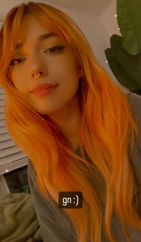 Shelbygraces