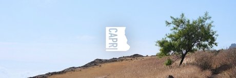 Nacktes geleaktes OnlyFans-Foto von Capri
