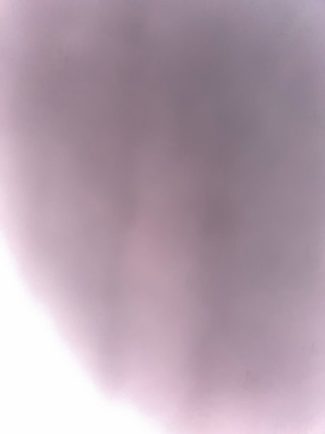 Nacktes geleaktes OnlyFans-Foto von Bunny
