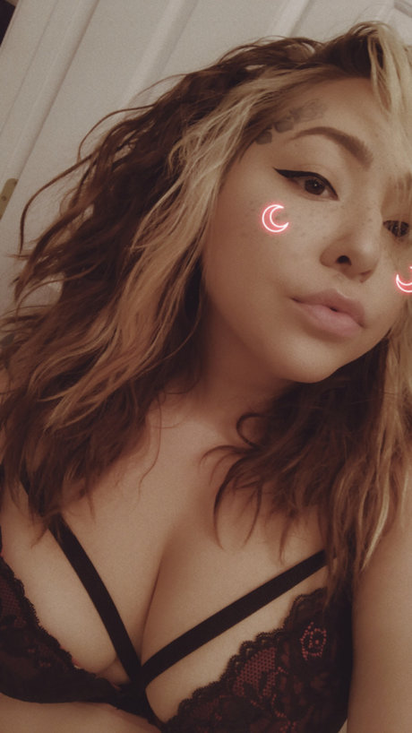  Kitten 