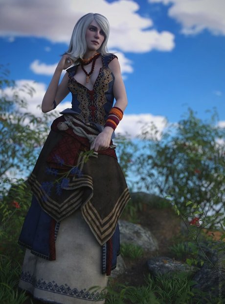 The Witcher