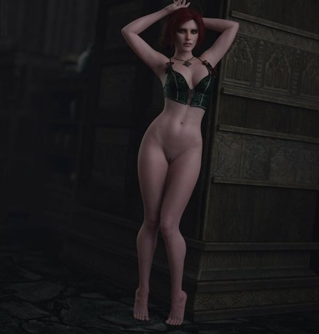 The Witcher
