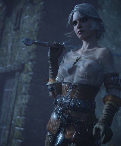 The Witcher