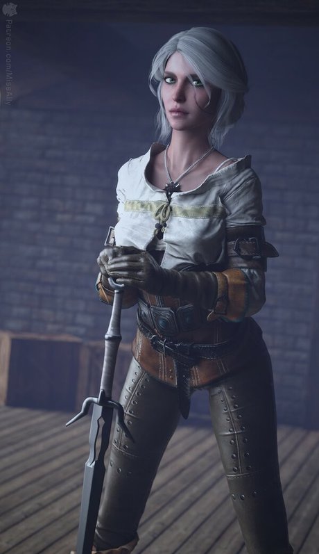 The Witcher