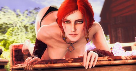 The Witcher