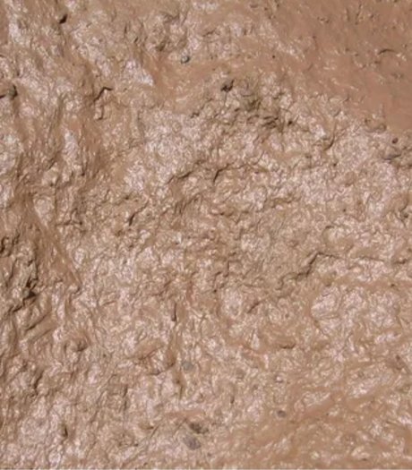 Muddy Jones