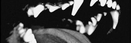 Nacktes geleaktes OnlyFans-Foto von Diabloodon