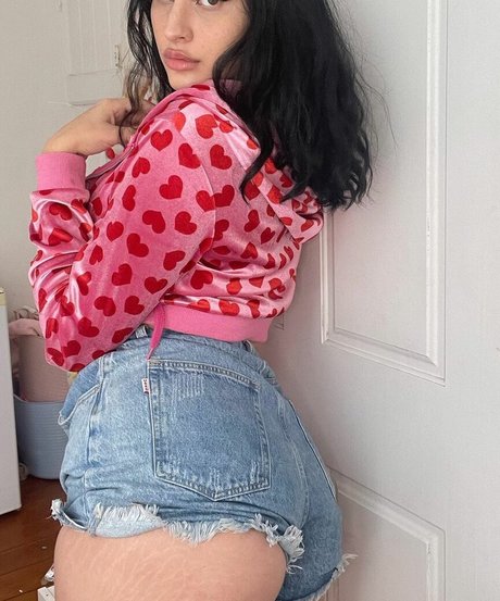 Dakotadoll