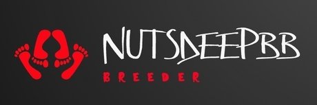 Nutsdeepbb