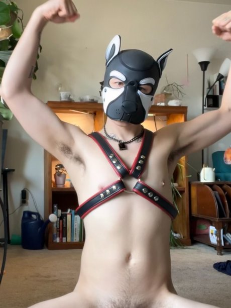 Nacktes geleaktes OnlyFans-Foto von Just A Puppy
