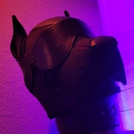 Nacktes geleaktes OnlyFans-Foto von Onestretchypup